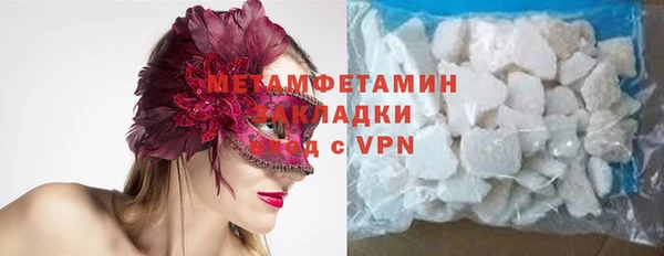 амф Тайга