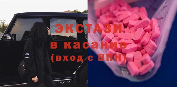 амф Тайга