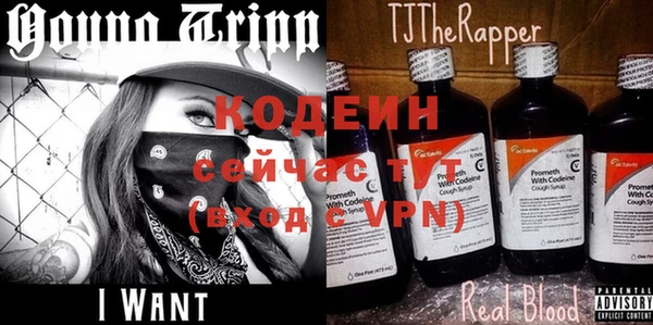 гашик Нефтекумск