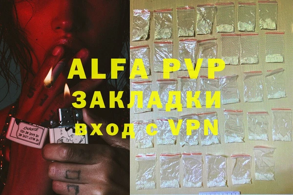 амф Тайга
