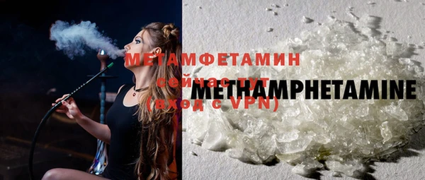 амф Тайга