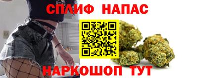 индика Гусев