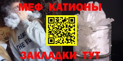 индика Гусев